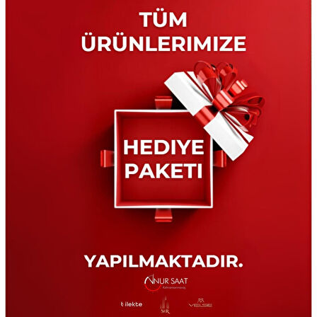 Lee Cooper Çelik Kordonlu 3 Atm Suya Dayanıklı 2 Yıl Garantili Kadın Kol Saati BC.08210.320