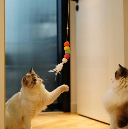 Elastik Kendinden Yapışkanlı Solucan Kedi Oltası Bx40