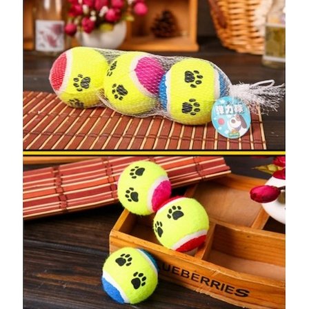 At Getir Köpek Eğitim Topu Bx40