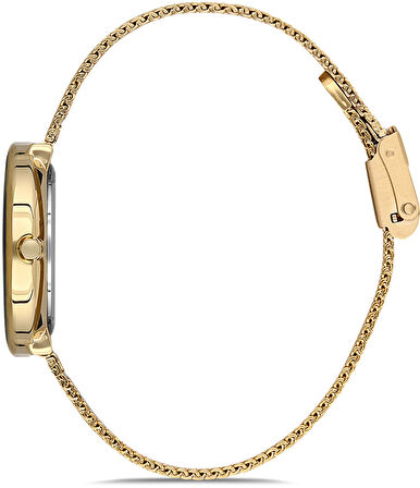 David Guner DG-8121LC-B1