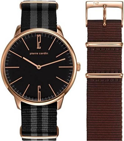 Pierre Cardin 106991F16 Erkek Kol Saati