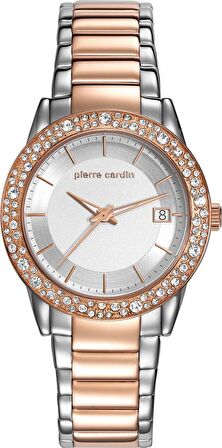 Pierre Cardin PC107342F06