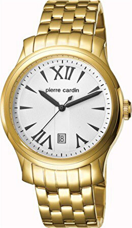 Pierre Cardin PC104121F07 Erkek Kol Saati