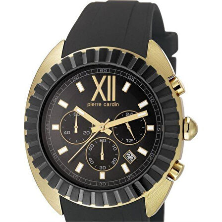 Pierre Cardin 105941F12 Erkek Kol Saati