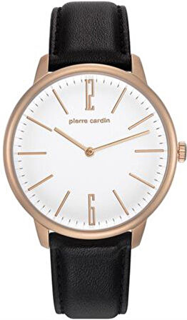 Pierre Cardin PC106991F27 Erkek Kol Saati