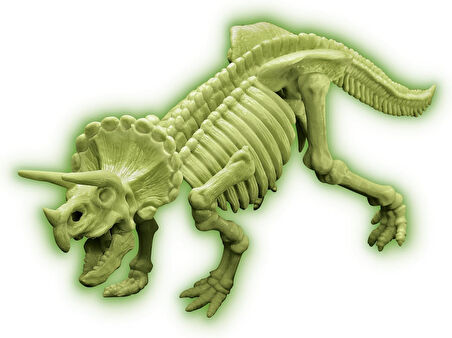 Triceratops DinoSaur DNA/ Dinozor DNA Triceratops Kazı Keşfetme Seti