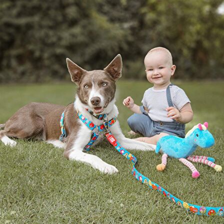 Max & Molly Little Monsters Gezdirme Kayışı-Medium