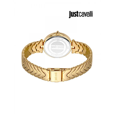 Just Cavalli JC1L238M0065 Kadın Kol Saati