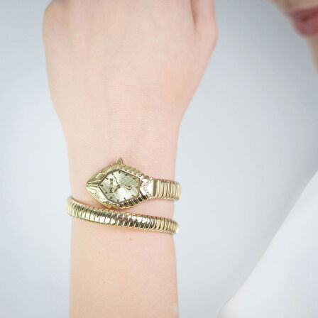Just Cavalli JC1L356M0025