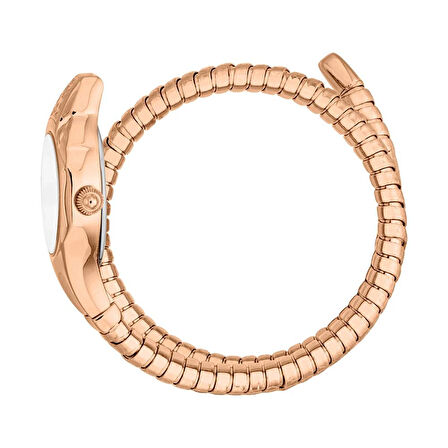 JUST CAVALLI JC1L354M0045 Kadın Kol Saati