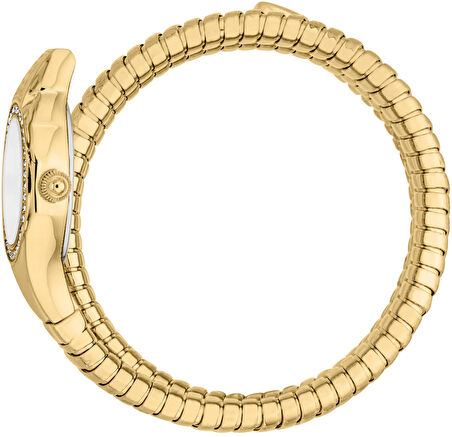 Just Cavalli JC1L355M0025