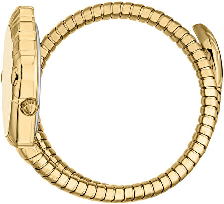 Just Cavalli JC1L357M0025