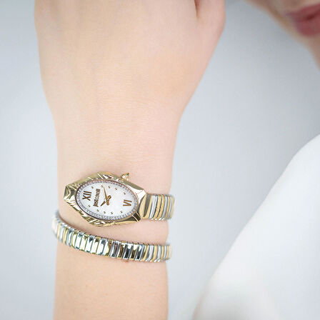 Just Cavalli JC1L357M0055