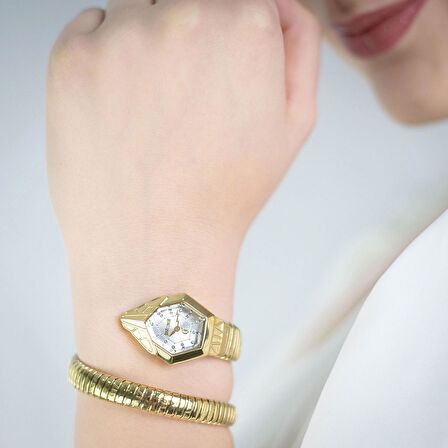 Just Cavalli JC1L358M0035