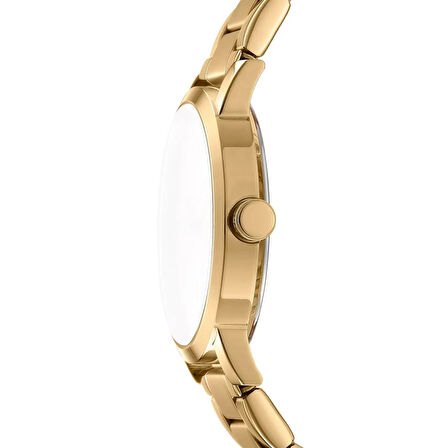 DKNY DK1L036M0065 Kadın Kol Saati