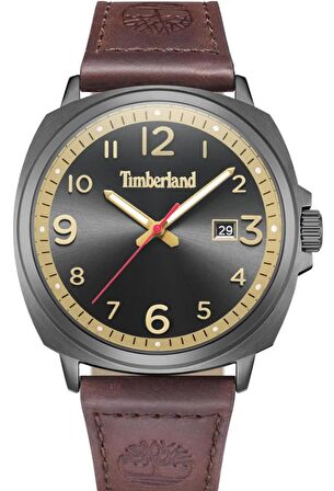 Timberland TDWGB0028602 Erkek Kol Saati