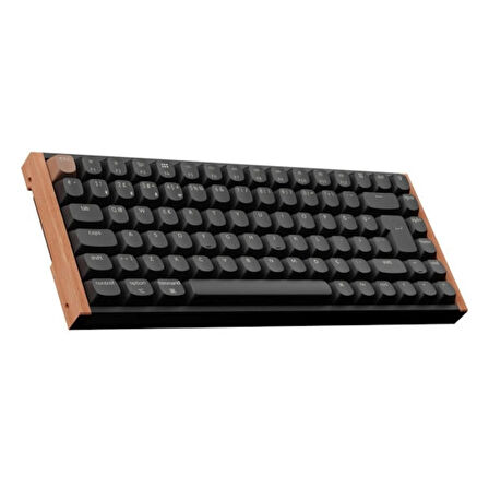 Keychron K2 HE Special Edition Siyah %75 Gateron Magnetic Nebula Manyetik Switch Hall Effect RGB Kablosuz Hotswap Mekanik Gaming Klavye (K2H-F1-TR)