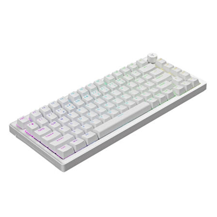GameRaider K1 HE White Ultra-Fast Lime Manyetik Switch 8K Türkçe Kablolu Gaming Klavye