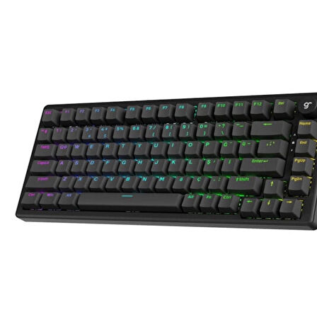 GameRaider K1 HE Grey Ultra-Fast Lime Manyetik Switch 8K Hz Türkçe Kablolu Gaming Klavye