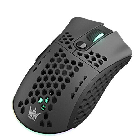 GALAX HOF ACE M2 BLACK ARGB Kablosuz Gaming Mouse (G-MGHM2P708RG2BB-GXLG)