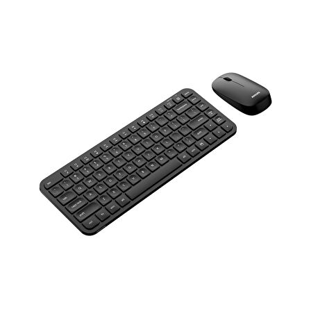 Philips SPT6338 Kablosuz Türkçe Q Klavye ve Mouse Seti Siyah