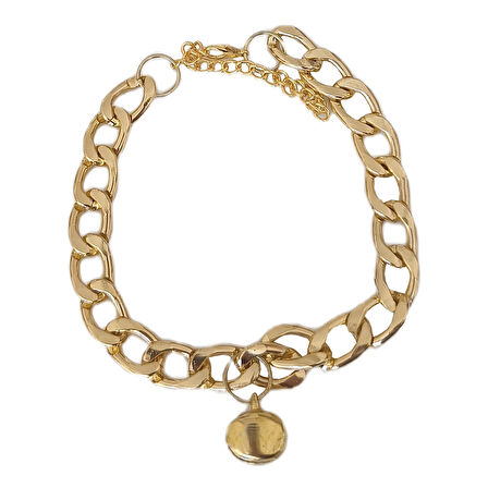 Kedi Ve Köpek Lüx Zincir Kolye 25-30 cm Medium Gold alithestereo