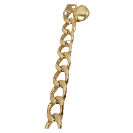 Kedi Ve Köpek Lüx Zincir Kolye 25-30 cm Medium Gold alithestereo
