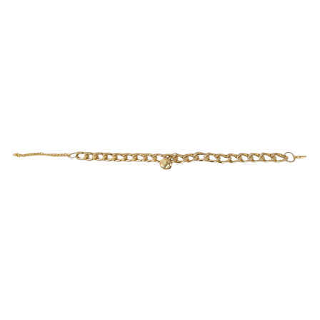 Kedi Ve Köpek Lüx Zincir Kolye 25-30 cm Medium Gold alithestereo