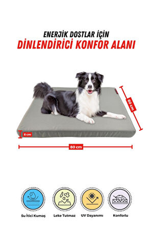 XPERMATE Patiminder Köpek Yatağı Yedek Kılıflı Büyük Irk Köpek Yatağı Büyük Köpek Yatakları 60x80 cm