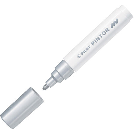 Pilot  Pintor (M) - Gümüş