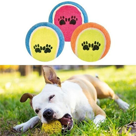 CELİK AVM®  3lü Renkli Desenli Tenis Topu Kedi Köpek Oyuncağı