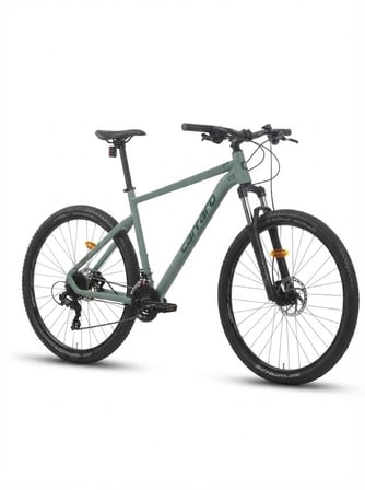 Carraro Crx 921 HD Fren 21 Vites 29 Jant Dağ Bisikleti Adaçayı Koyu Yeşil 52 Kadro