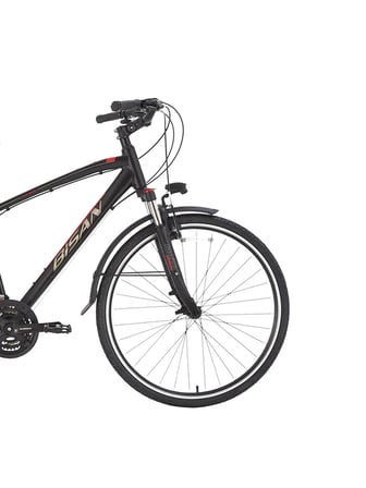 Bisan TRX 8100 City 28 Jant V-Fren Şehir Bisikleti 46 Kadro Mat Siyah Kırmızı
