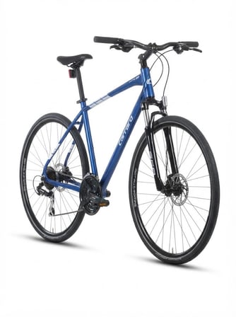 Carraro Sportive 225 HD Fren 24 Vites 28 Jant Şehir Bisikleti Metalik Lacivert Gümüş 46 Kadro