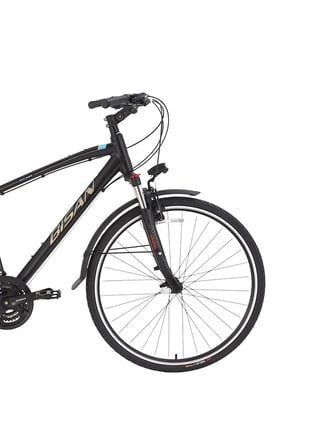 Bisan TRX 8100 City 28 Jant V-Fren Şehir Bisikleti 46 Kadro Mat Siyah Mavi