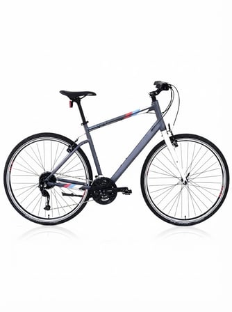 Carraro Sportive 327 V Fren 27 Vites 28 Jant Şehir Bisikleti Mat Antrasit Gümüş Mavi Kırmızı 48 Kadro