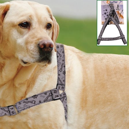 Ergonomik Yumuşak Dokulu Terletmez Köpek Göğüs Tasması Medium (4915)