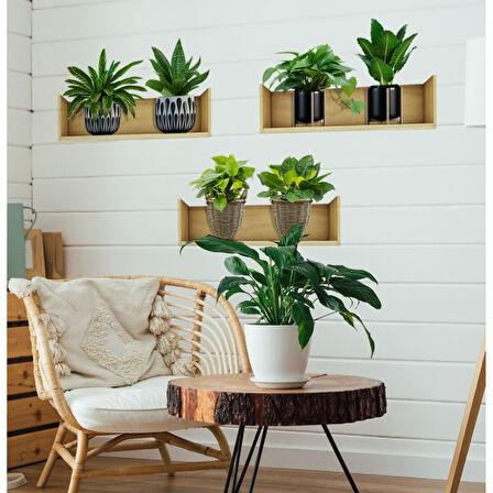 Raflı Bitki Tasarımlı Yapışkanlı Sticker 20*30 Cm 3lü Set (4915)