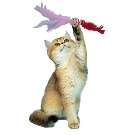 Tüylü Püsküllü Kedi Oyuncağı Dikkat Çekici Renkli Sevimli Evcil Hayvan Oyuncağı (4915)