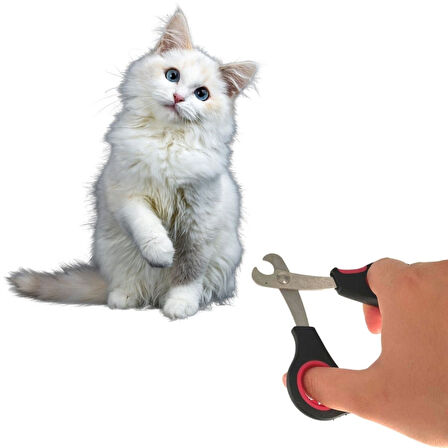 Büyük Irk Köpek Kedi Çelik Uçlu Evcil Hayvan Tırnak Makası Pati Bakım Aleti Ergonomik Kaymaz (4915)