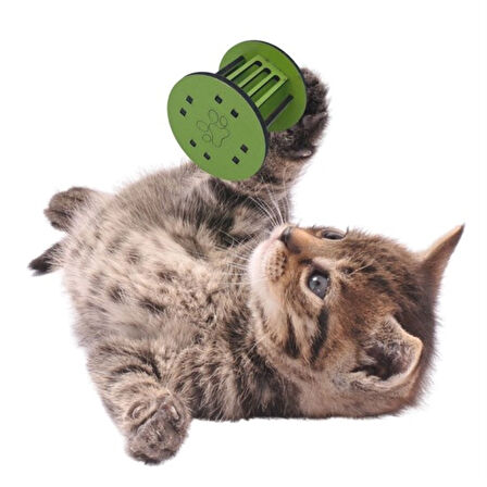 Mini Silindir Eğlenceli Renkli Sağlam Küçük Pati İzi Şekilli Kedi Oyuncağı (4915)