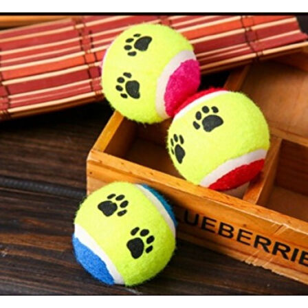 At Getir Köpek Eğitim Topu (4915)