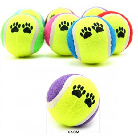 At Getir Köpek Eğitim Topu (4915)