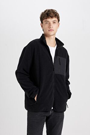 DeFacto Regular Fit Dik Yaka Fermuarlı Cepli Polar Hırka A6892AX24WNBK81