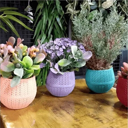 Omnipazar SO-ASR1 Dekoratif Örgü Desen Amasra Saksı 0.13 Litre 6'lı Set 