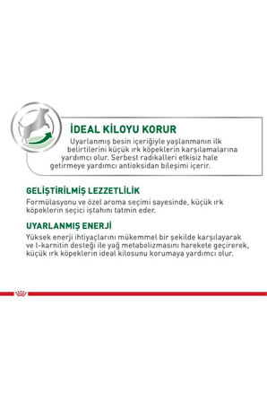 Royal Canin Mini Adult Köpek Maması, Küçük Irk, Yetişkin, 12 x 85 G