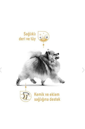 Royal Canin Bhn Pomeranıan Yetişkin Köpek Maması 3 Kg