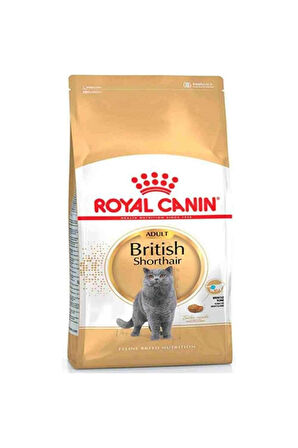 Royal Canin British ShortHair Adult Kedi Maması, 10 Kg