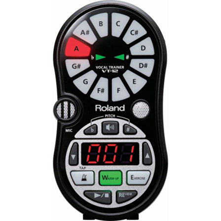 ROLAND VT-12-BK Vocal Trainer