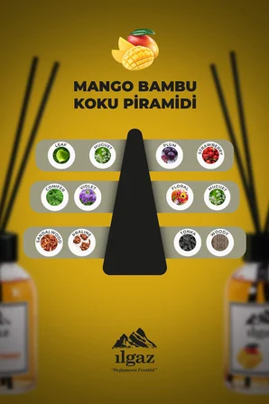 Ilgaz Mango Bambu Çubuklu Oda Kokusu 110 Ml | Red Diffuser Mangue Meyveli Ortam Kokusu